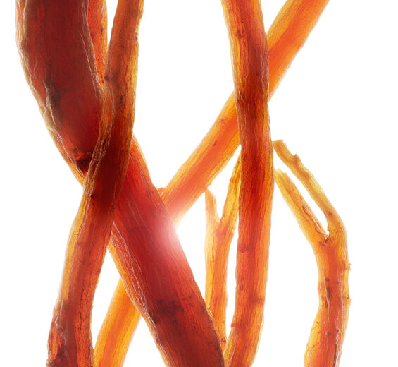 Ginseng skincare benefits | Discover Clarins Ingredient Library