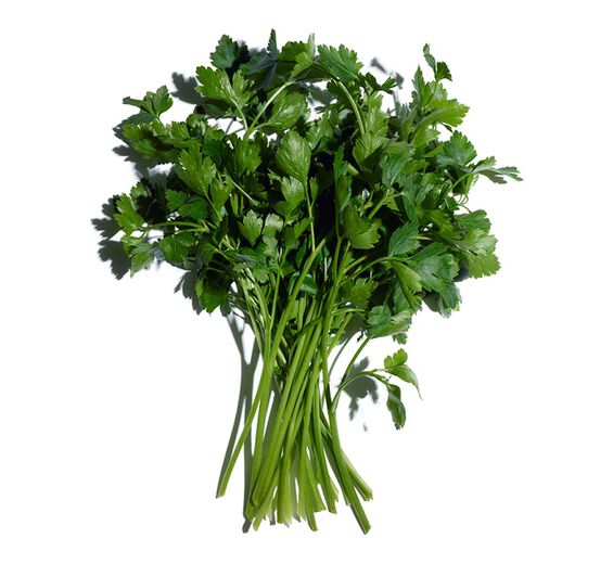 Parsley-Parsley essential oil-Carum petroselinum (parsley) seed oil