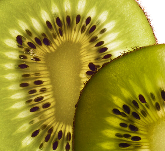 Kiwi-Organic kiwi extract-Actinidia chinensis