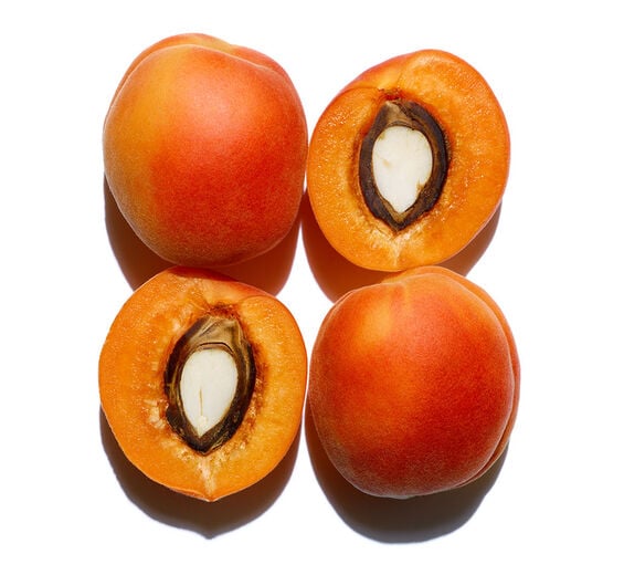 Abricotier-Huile d'abricot bio-Prunus armeniaca