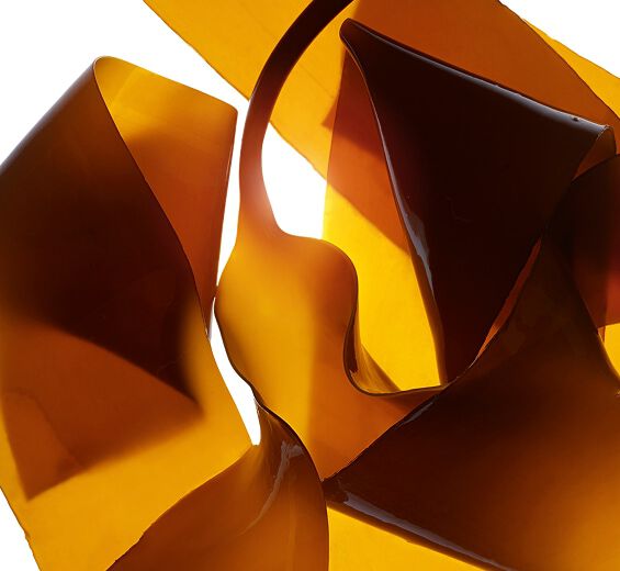 Laminaire-Extrait de laminaire-Chlorella vulgaris