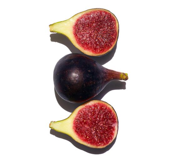 Fig tree-Fig extract-Ficus carica