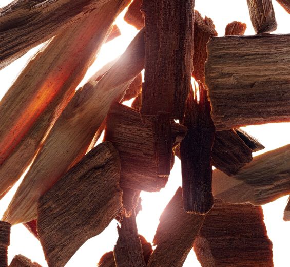 Santal-Huile essentielle de santal-Santalum album