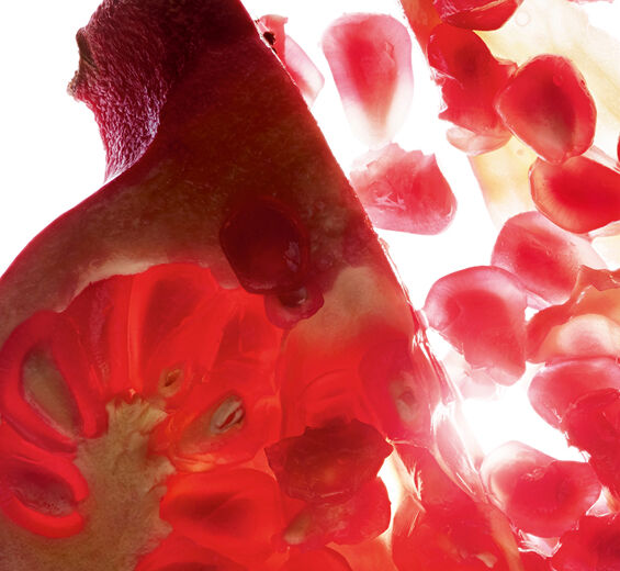 Grenadier-Extrait de grenade (plante bio)-Cunica granatum