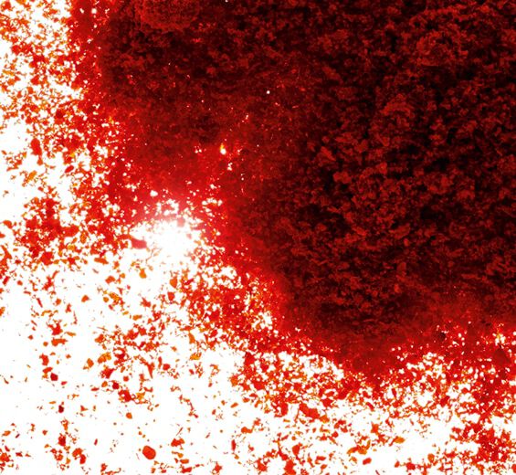 Paprika-Paprika extract-Capsicum annuum