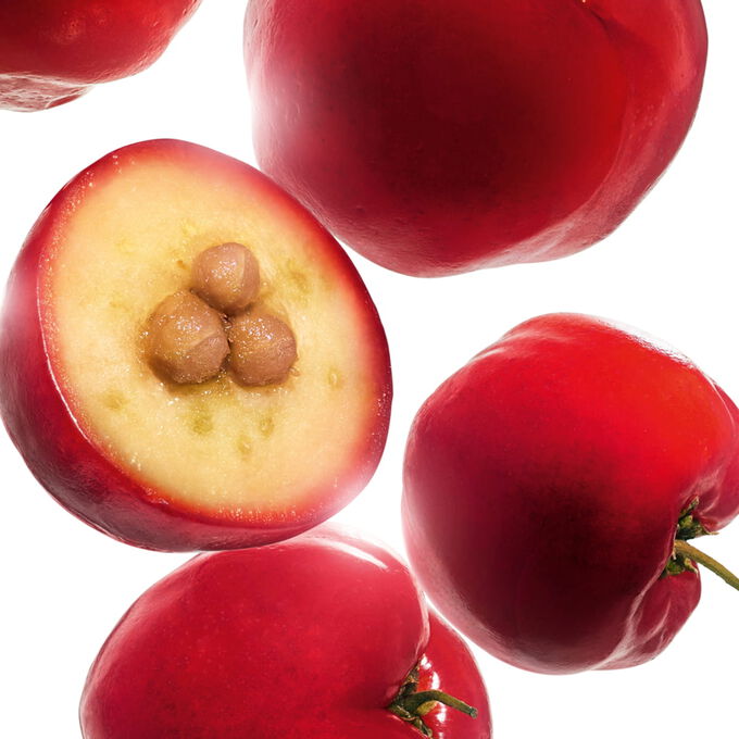 RE-BOOST hydra-energizing tinted cream with acerola seed extract.
