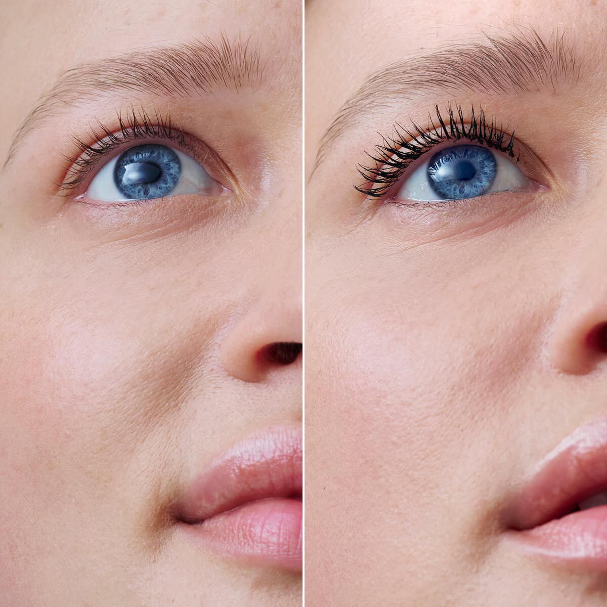 Panthenol skincare benefits | Discover Clarins Ingredient Library