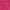 775 pink petunia