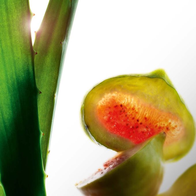 Hydrating Toning Lotion