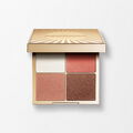 Palette Illuminatrice Multi-Usage