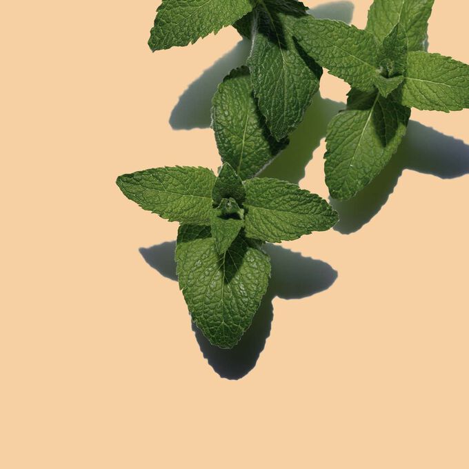 Trio Bain et Corps "Tonic"