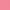 15 blush camellia