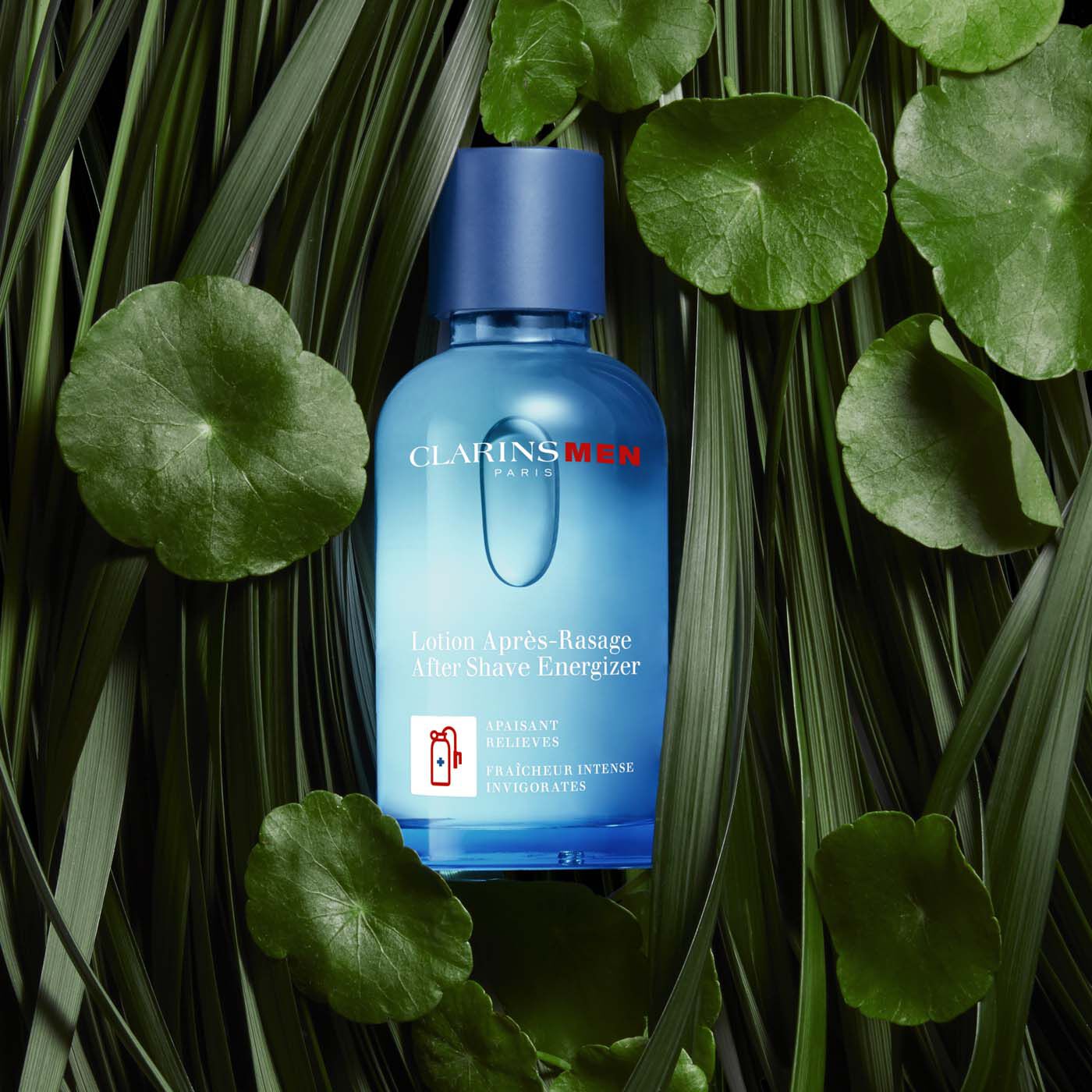 lotion après rasage maison