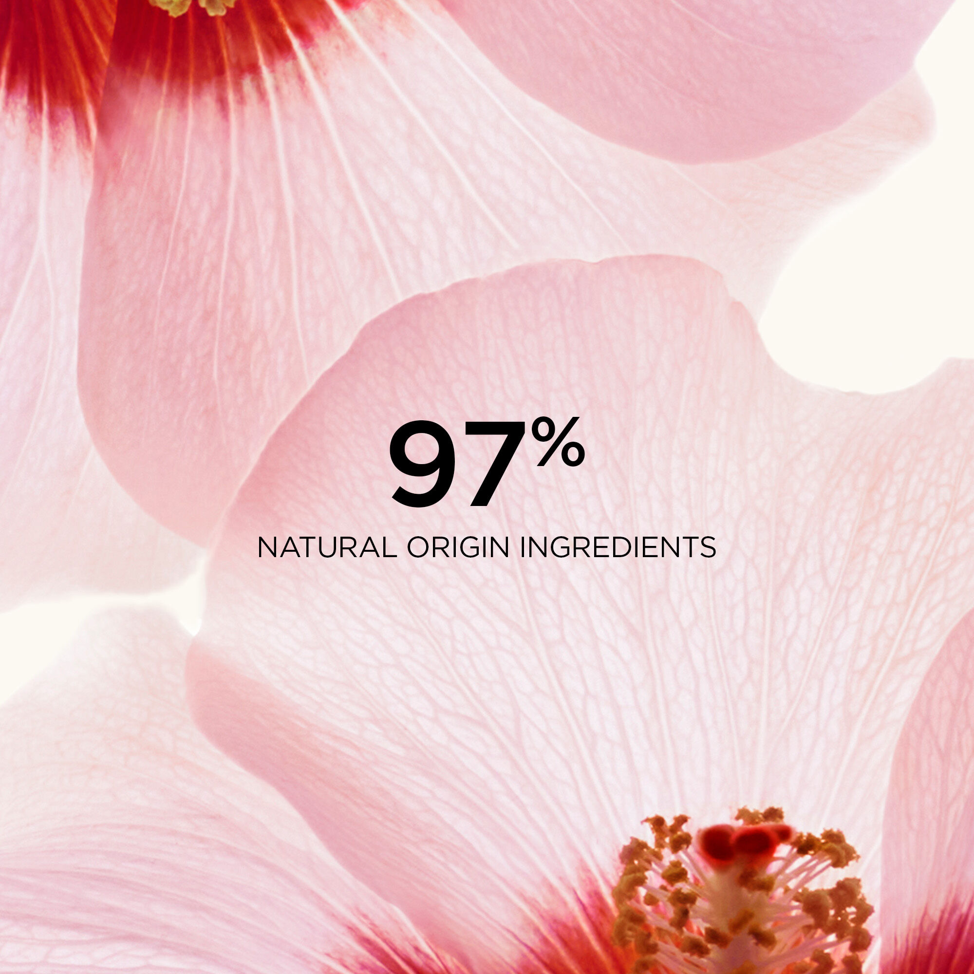 値下げ！CLARINS Renew-Plus Body Serum 200ml Clarins Renew-Plus Body Serum – Escentual