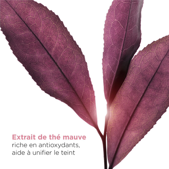 Duo S&eacute;rum et &Eacute;mulsion Lact&eacute;e &Eacute;clat Plus [AVANC&Eacute;]