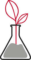 A plant in a vial