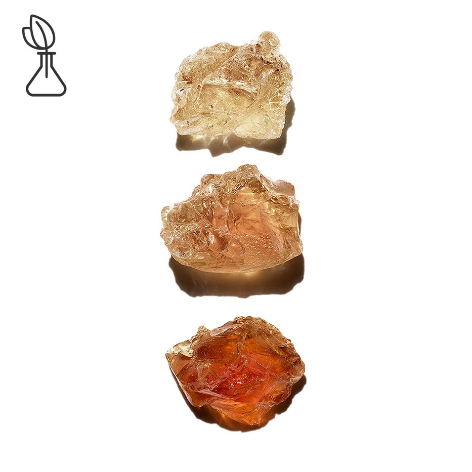 Acacia Sénégal-Micropatch végétal-Acacia Sénégal