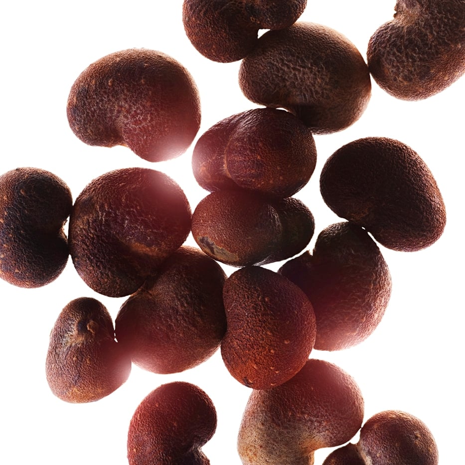 Baobab-Baobab extract-Adansonia digitata