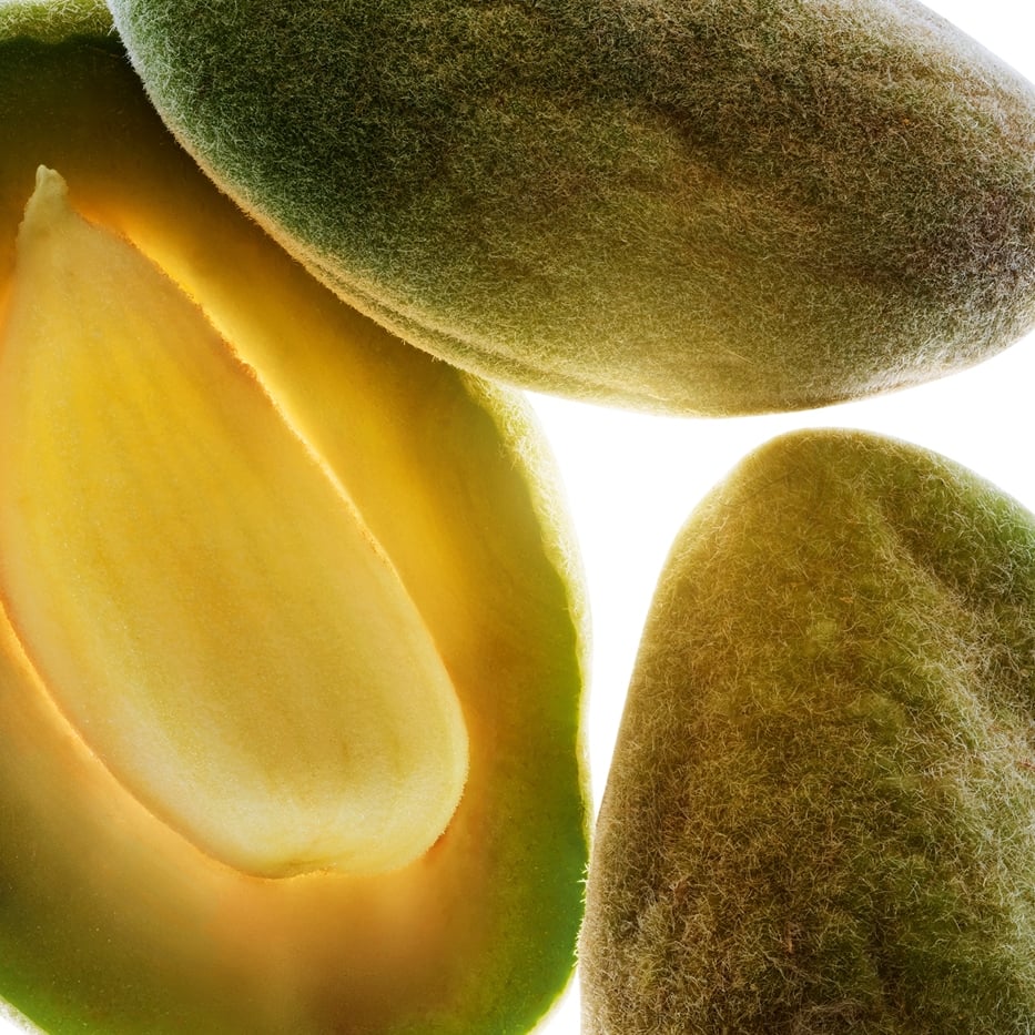 Amandier-Huile d'amande douce bio-Prunus amygdalus dulcis