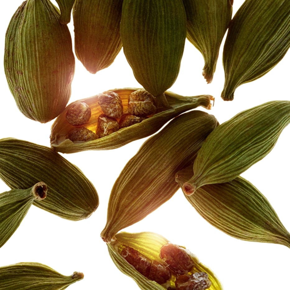 Cardamom-Cardamom essential oil-Elettaria cardamomum