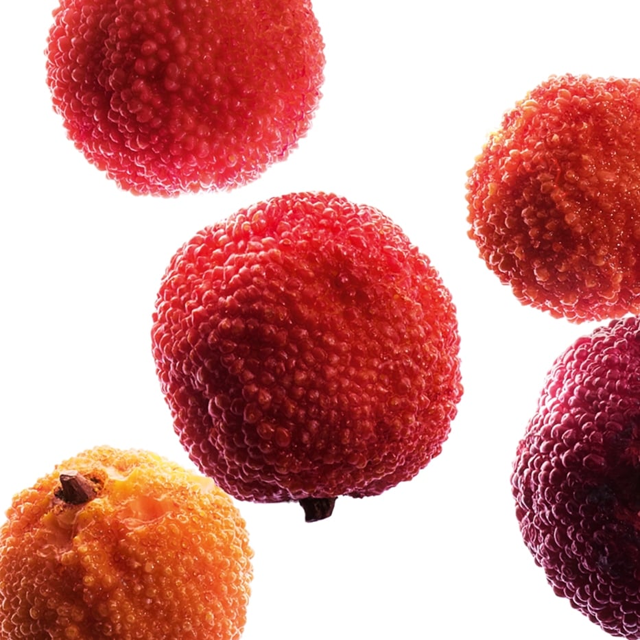 Arbousier-Extrait d’arbouse bio-Arbutus unedo