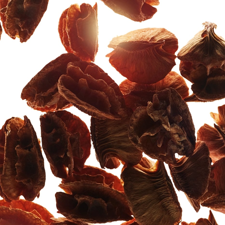 Acerola-Acerola seed extract-Malpighia emarginata