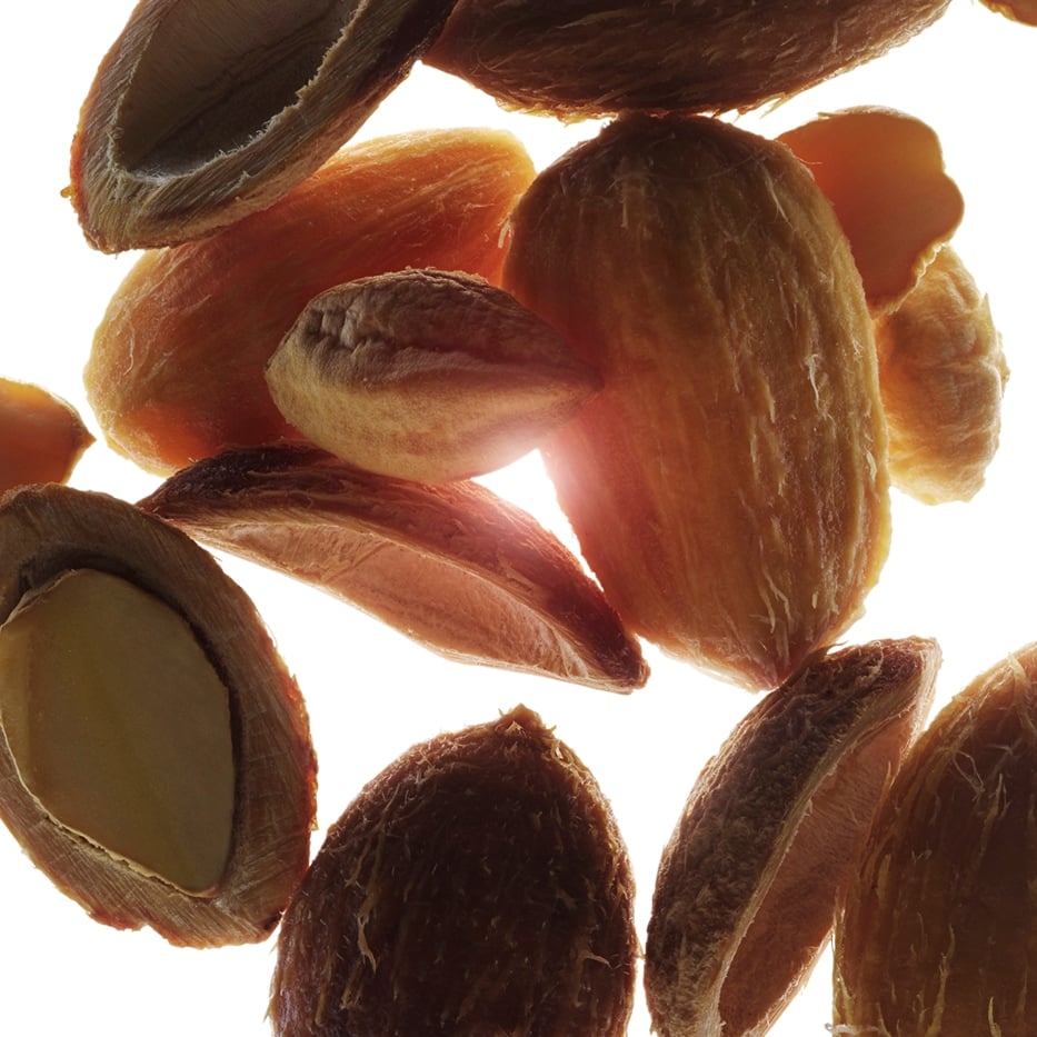 Desert date-Organic desert date extract-Balanites roxburghii