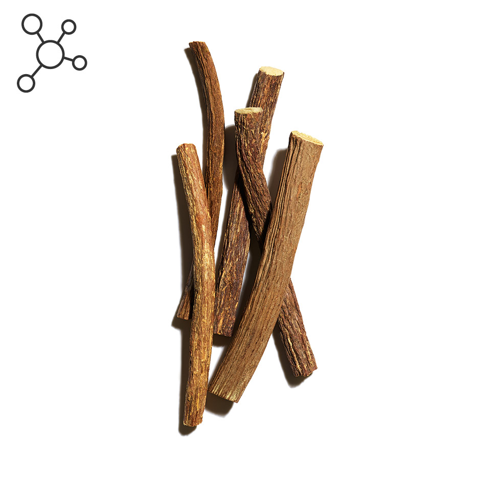 R&eacute;glisse-Acide glycyrrh&eacute;tinique-Glycyrrhiza glabra L.