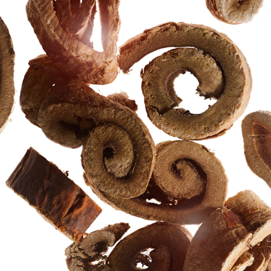 White mulberry-Organic white mulberry extract-Morus alba