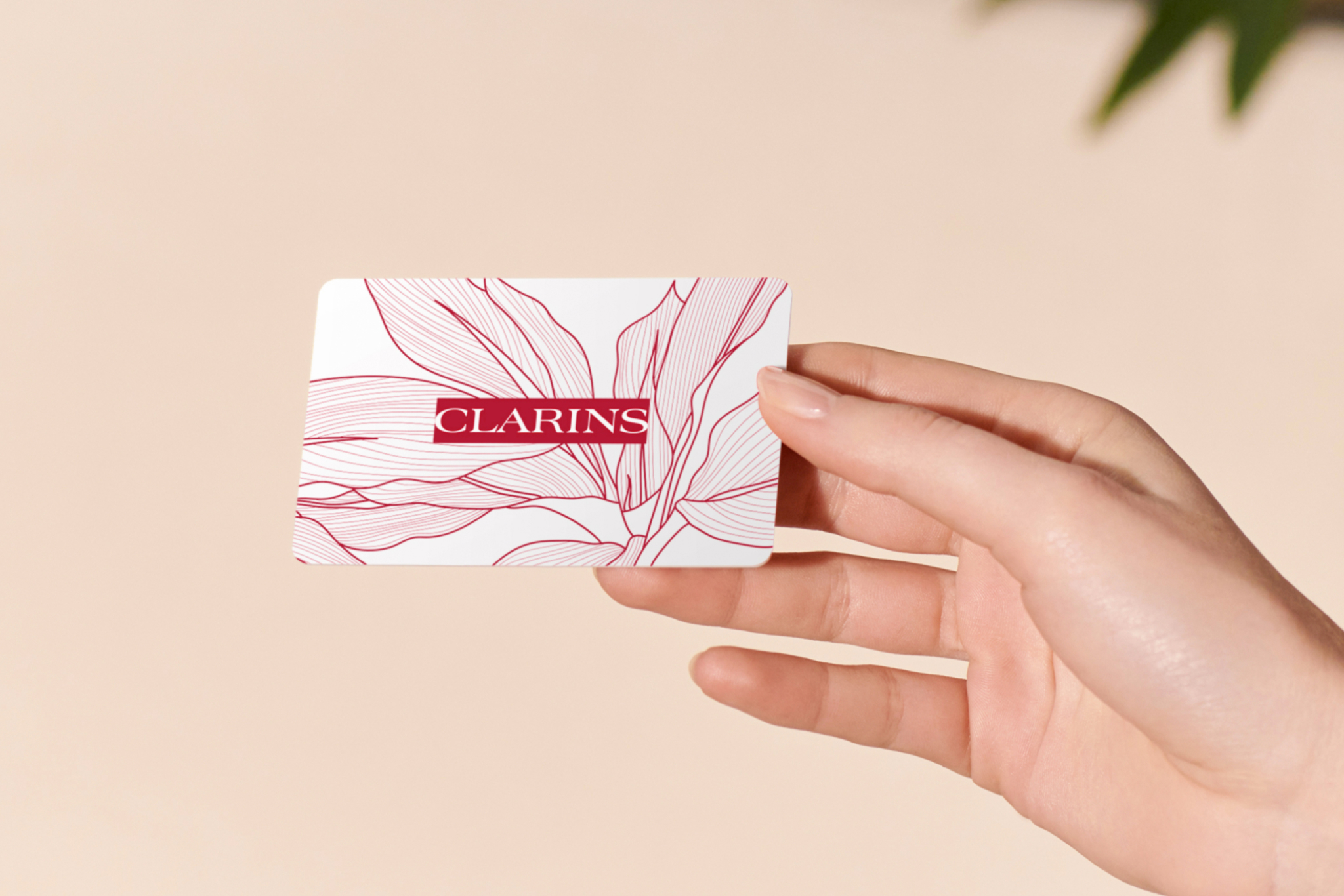 Gift certificate top image