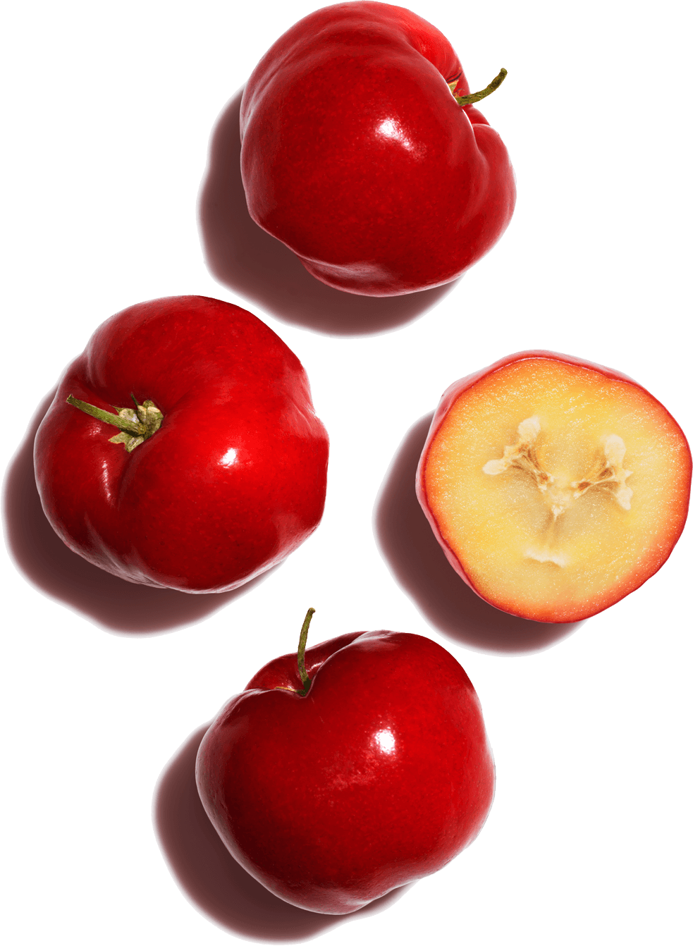 Acerola seed