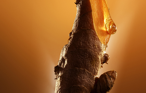 Quelles plantes libèrent leurs secrets beauté dans le Double Serum?