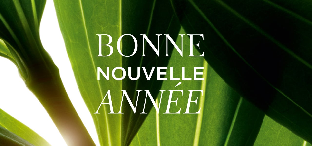 Bonne nouvelle ann&eacute;e 2026