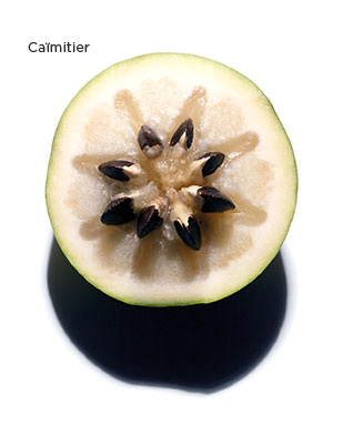 Caimito Fruit