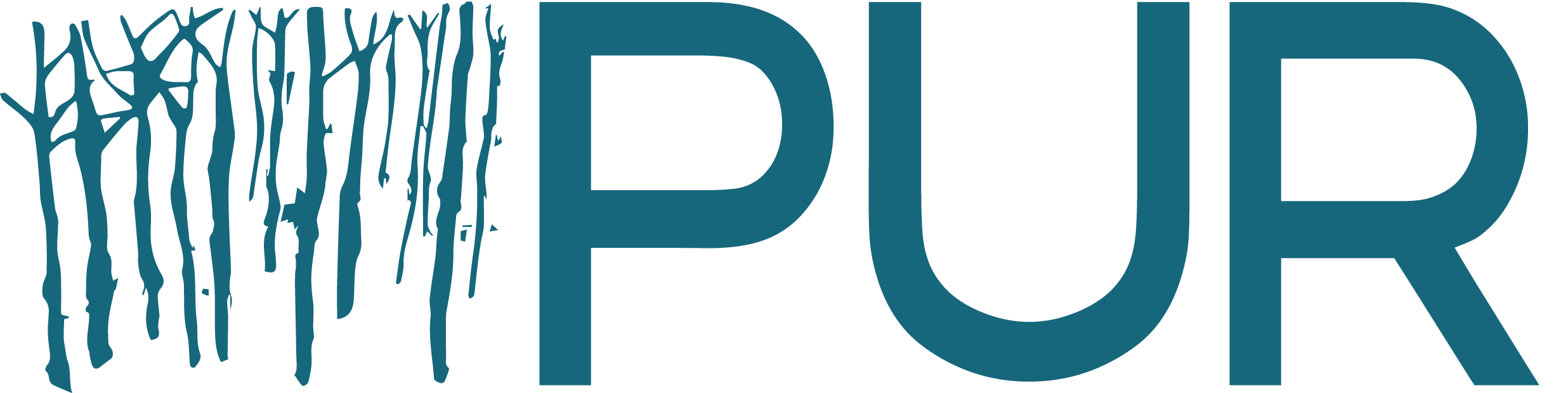 Logo PUR Projet